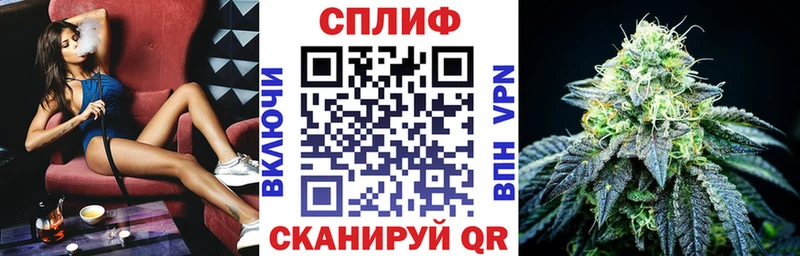 МАРИХУАНА Ganja Суздаль